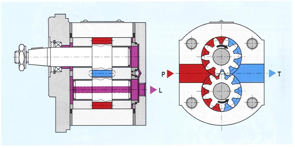 Motore idraulico ad ingranaggi