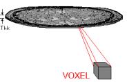VOXEL Sestini et al CML Science 2006 Voxel = valore