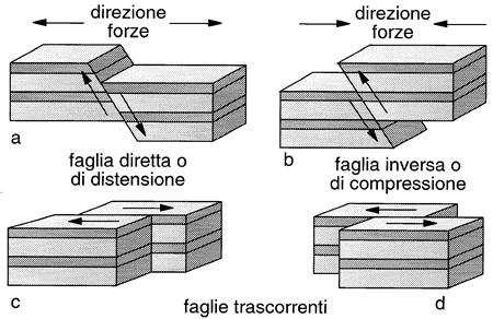 schema di rottura di un bastone di legno un semplice schema 3D di propagazione delle onde Lo spostamento avviene sia verticalmente che orizzontalmente Di solito queste rotture, ed i conseguenti