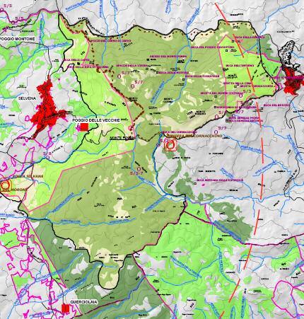 LE RISORSE NATURALISTICO-AMBIENTALI La riserva naturale del Monte Penna SEZ