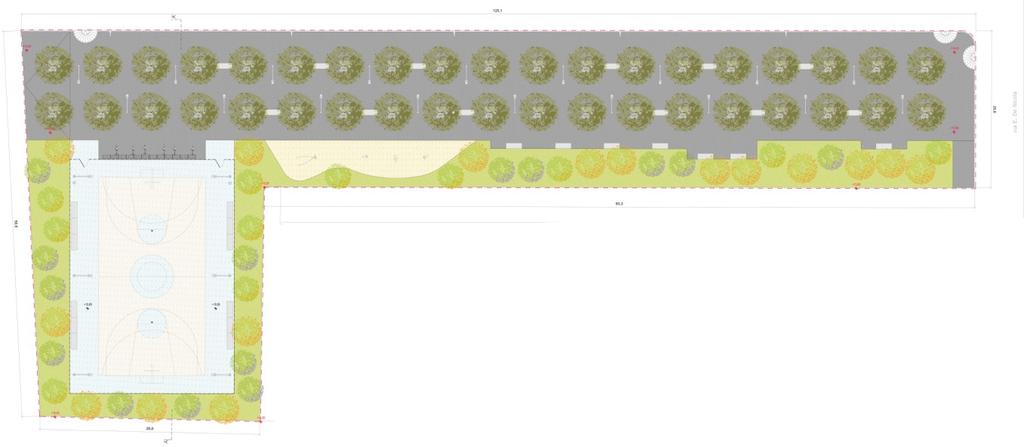 sedute. Verso l istituto Pascoli, è prevista la realizzazione di una quinta verde formata da un agrumeto intervallato da spazi attrezzati per la sosta e rastrelliere per biciclette.