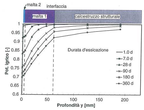 Distribuzione delle auto-tensioni durante il processo di essiccazione Profili del tenore di umidità a diversi