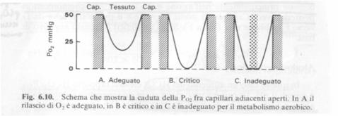 IPOSSIA TISSUTALE Si parla di insufficienza respiratoria (IR) quando il polmone non è in grado di procedere ad un adeguata ossigenazione del sangue arterioso (riduzione della PaO 2 ).