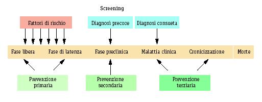 Il DEA come Hub del