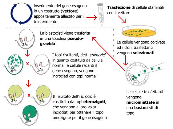 PRODUZIONE DI