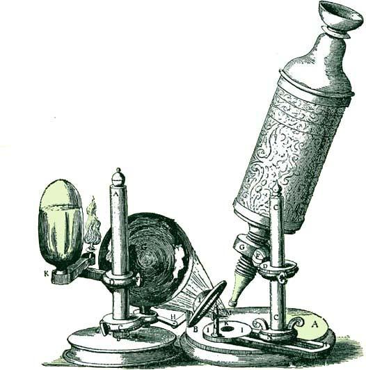 La teoria cellulare Le cellule furono osservate per la prima volta nel 1665 da Robert Hooke, che studiò con un microscopio rudimentale sottili fettine di sughero e vide che