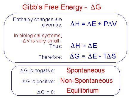 Ssistema+ Suniverso > 0 spontaneo Energia libera di Gibbs Nei sistemi