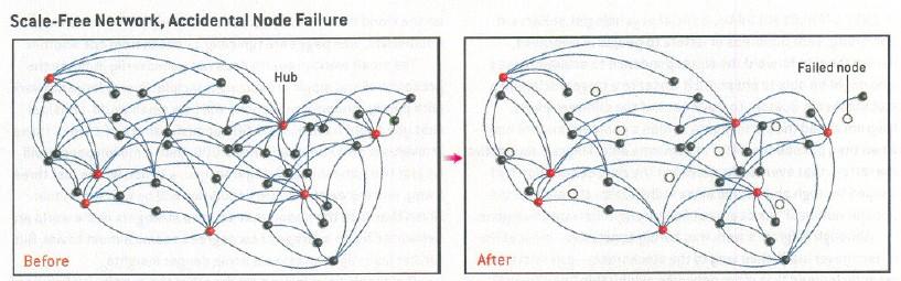 SCALE FREE NETWORKS: