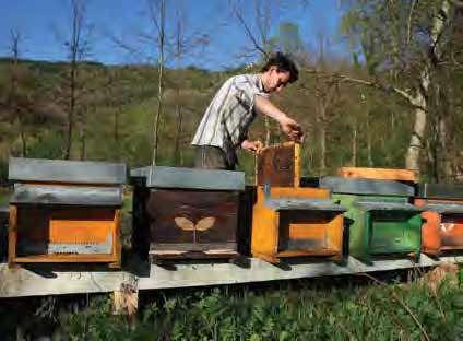 alle aziende agricole locali