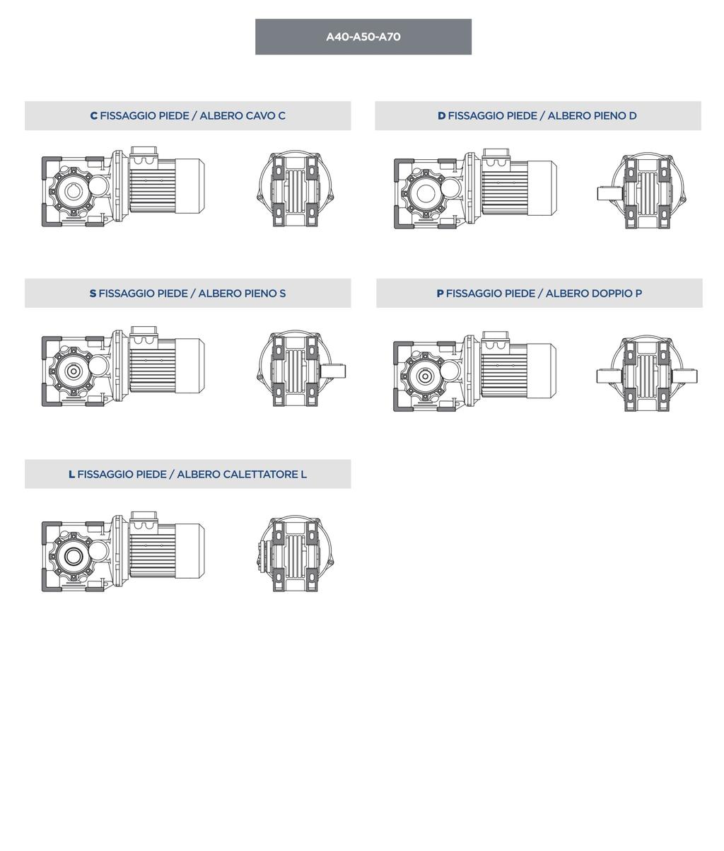 2.2 TIPOLOGIA 2.2.2 Verson Le grandezze A42 -