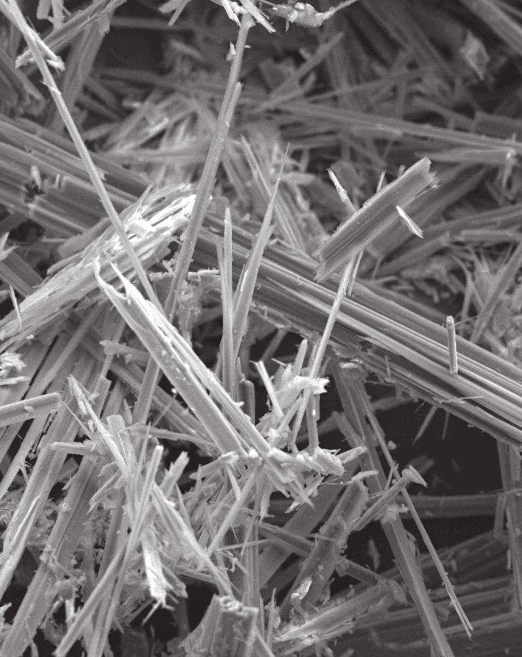 Storia dell amianto Tra utilità e letalità Antofillite, il primo amianto utilizzato a scopo manufatturiero di cui esiste documentazione storica. Fibre di viste al microscopio elettronico a scansione.