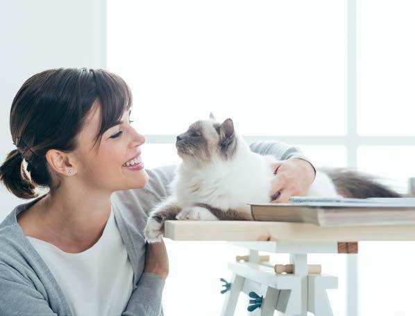 Dio ha creato il gatto per procurare all uomo la gioia di