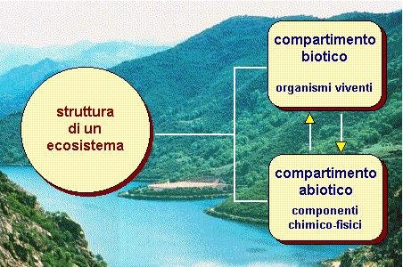 Unità didattica 2: Gli ecosistemi OBIETTIVI Descrivere un ecosistema ed i suoi componenti; Ogni organismo per vivere riceve dal proprio ambiente l energia e le sostanze necessarie alla propria