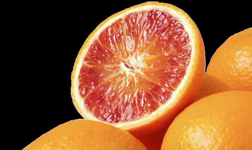 GUSTO E SALUTE: Le arance sono considerate spesso