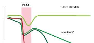 STORIA NATURALE DELL AKI 100 Renal Function OUTCOME A LUNGO TERMINE: POCHI STUDI 0 Cerda