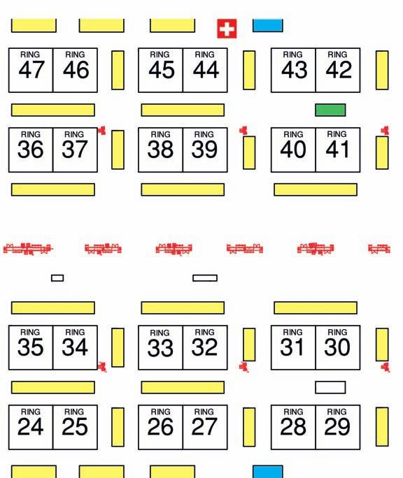 RING BAR TRIBUNA RING D ONORE TRIBUNA STAND ENCI CORSO ITALIA