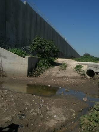 della zona e molte delle aree israeliane limitrofe.