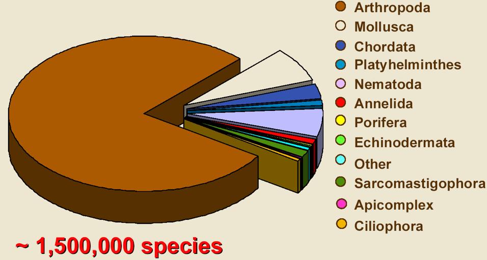 Il numero di specie appartenenti ad uno o all altro gruppo varia a seconda della classificazione