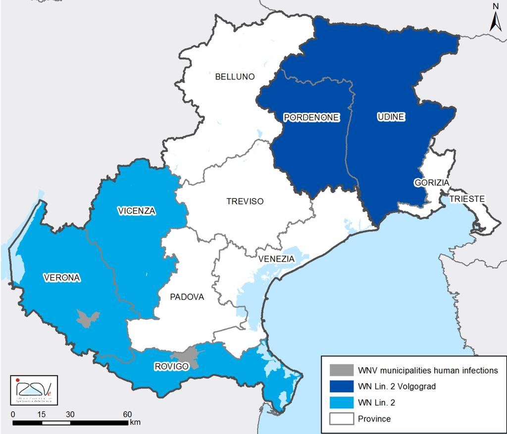 West Nile 2014 2014 WNV lin.2 High similarity with the lineage 2 WNV circulating in Romania in 2013 WNV lin.2 NS5 gene 0.