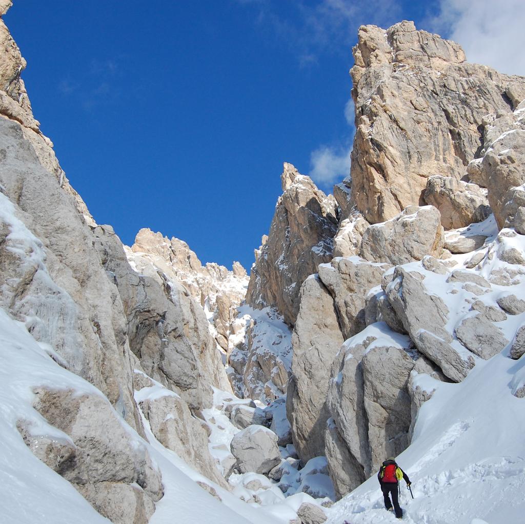 Lo staff del Wild Winter Experience si ocupera di fornire e trasportare tutto il necessario; i pasti, le attrezzature, le tende, i sacchi a pelo permettendo ai