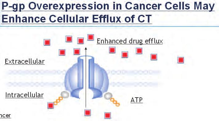 mitotico Bassa affinità P-gp Attività in tumori
