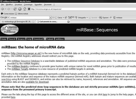 Funzioni dei mirna controllo di numerosi processi fisiologici: Sviluppo Differenziamento cellulare Apoptosi down up regulation mirna sono correlate a diversi tipi di patologie: Cancro Malattie