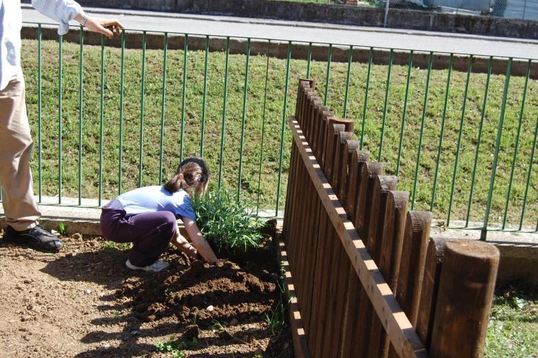 In un angolo collochiamo la lavanda, dal