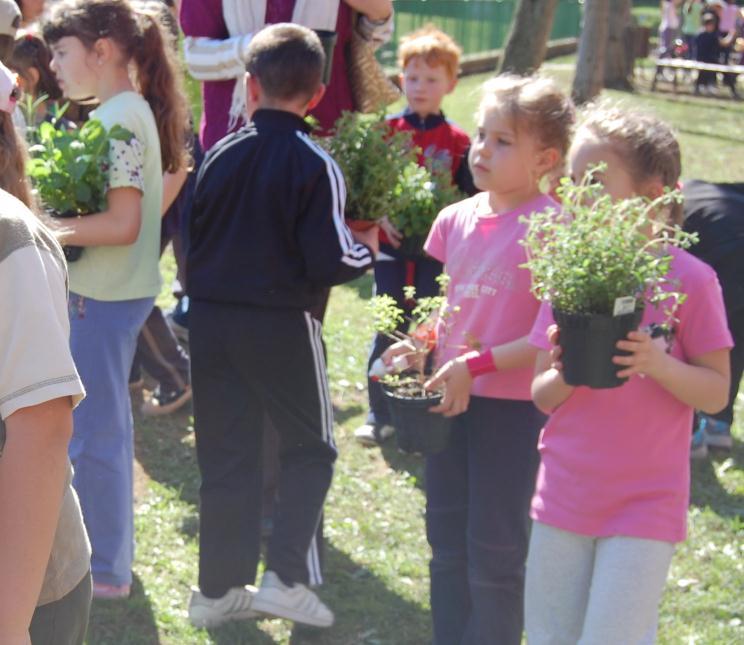 Dopo aver osservato e descritto le aromatiche siamo pronti per una nuova esperienza: le