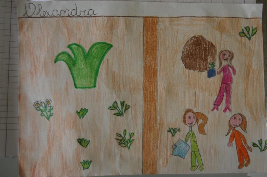 Disegno di Alexandra di classe 2^ Le piante simili stanno vicine.