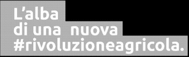 I mercati nell autotrazione Approvare il DM biometano e procedure applicative del GSE in tempi brevi.