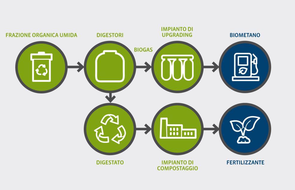 12 PIANOBIO COME FUNZIONA IMPIANTO DI TRATTAMENTO DELLA FORSU Pretrattamento del rifiuto Digestione anaerobica Produzione di biogas Purificazione ed upgrading del biogas Odorizzazione ed