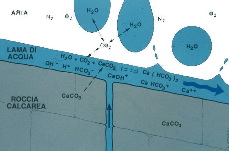 Ingredienti della dissoluzione carsica Acqua (e anidride carbonica) fase liquida e fase gassosa e aria Rocce