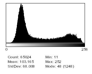 (conteggio del numero di pixel dato un particolare livello di