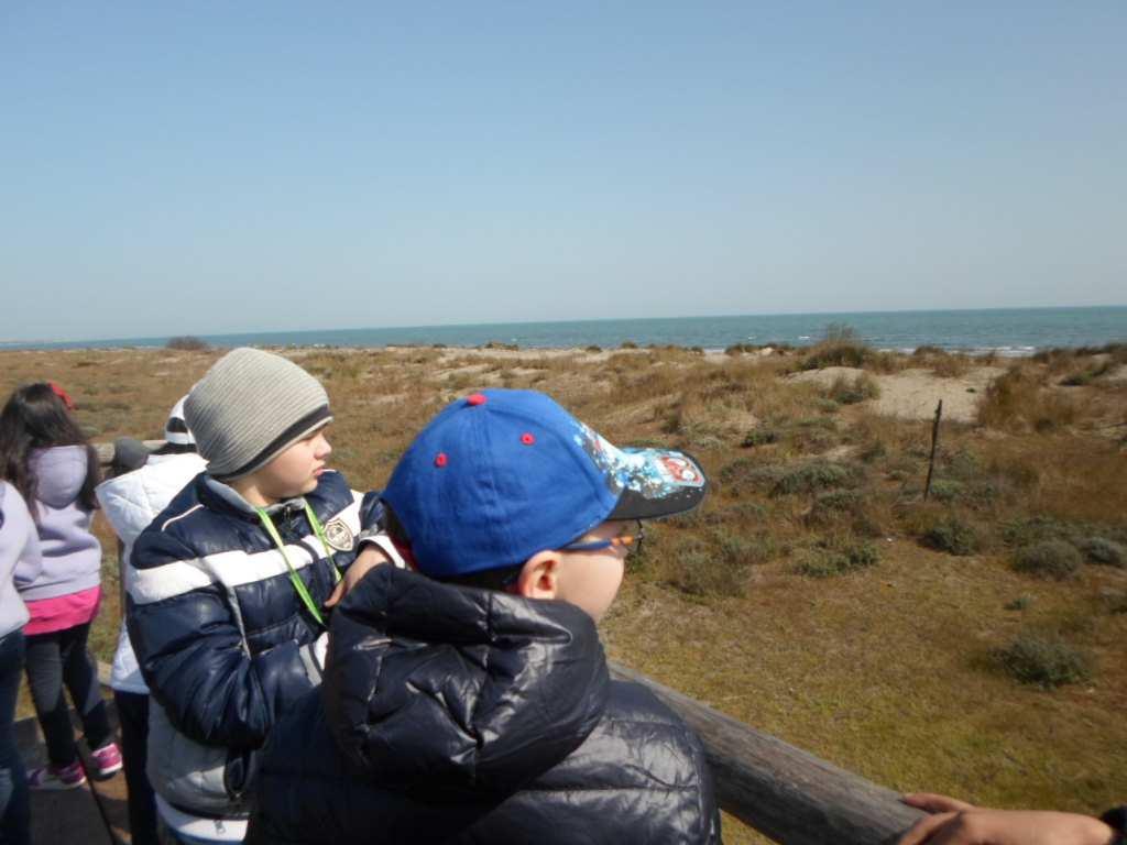 la visita al Giardino è proseguita su pontili di legno, fra dune di sabbia le più alte erano rinforzate e protette dalla presenza di cespugli e sono le dune litoranee.