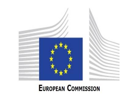 ENERGIA SICURA, SOSTENIBILE E COMPETITIVA PER L EUROPA Questa è la richiesta della commissione europea per l efficienza energetica.