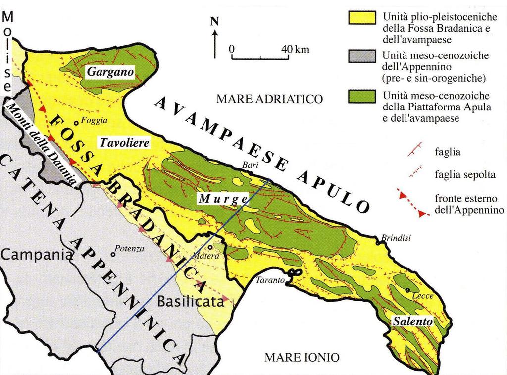 fra Oligocene e Pliocene) formava la catena appenninica.