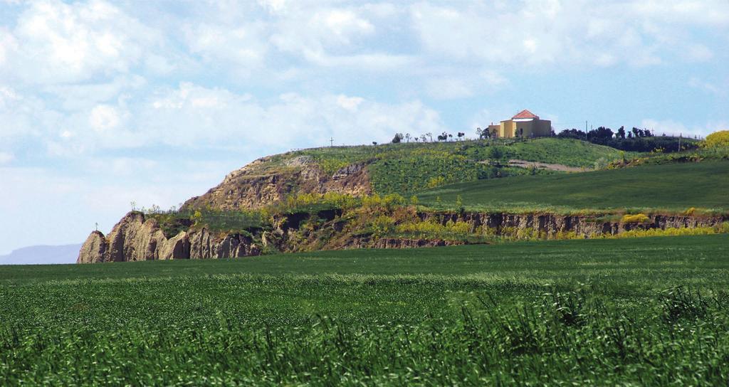 Il terrazzamento di Madonna