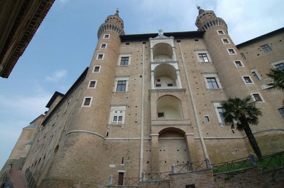 URBINO n.