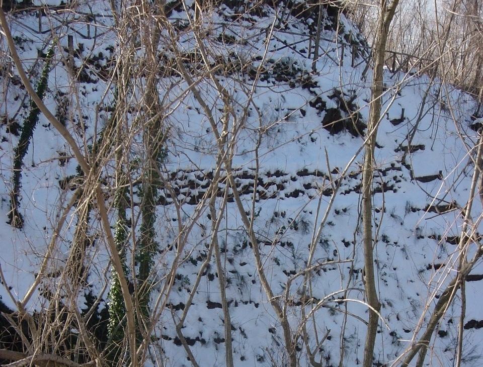 Vesuvius national park