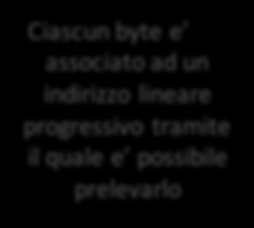 La memoria La memoria e una sequenza di bit organizzati in gruppi di 8 (byte).