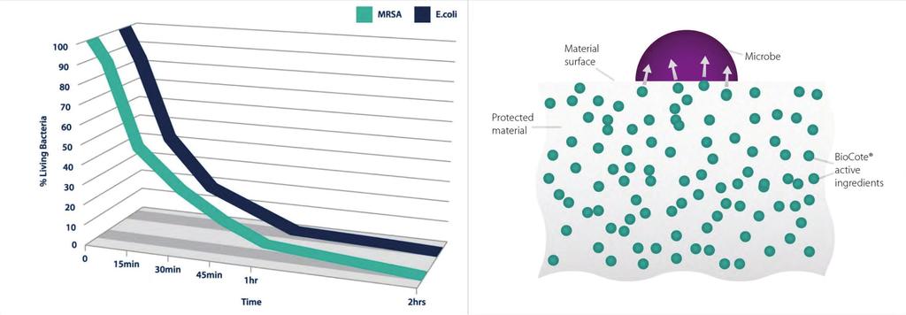 PROTEZIONE CONTINUA E DURATURA CONTINUED AND LONG-LASTING PROTECTION La tecnologia agli ioni d argento di BioCote viene incorporata nei prodotti nella fase di produzione, offrendo una protezione