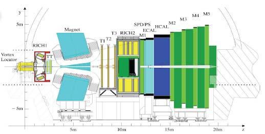 Il rivelatore LHC-b Rivelatore dedicato allo studio