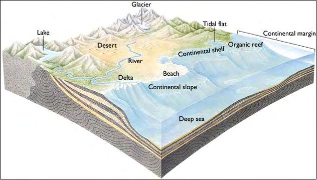 Sedimenti