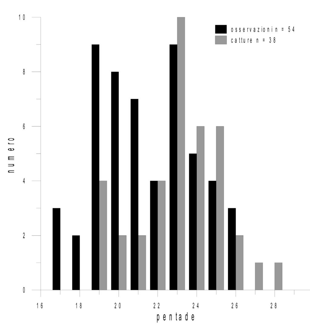 Fig. 4. Distribuzione stagionale delle segnalazioni di sterpazzolina comune nel Veneto tra il 1968 ed il 20