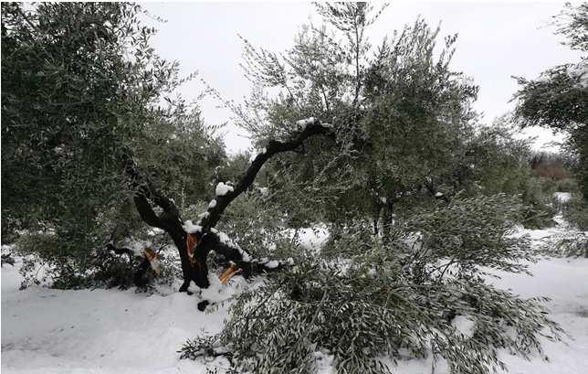 METEOROLOGICO DEL MESE DI GENNAIO