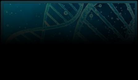 Analisi Salmonella nelle acque La PCR (Polymerase chain reaction) è una metodica sensibile, veloce e versatile che consente di ottenere grosse