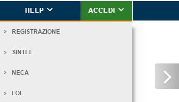 A. Scarica il PDF: tramite l apposito pulsante Scarica il PDF è possibile generare il file di registrazione, contenente tutti i dati inseriti nel form, il file non va rinominato; B.