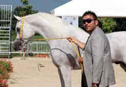 Zaniboni and owned by the Le Ongarine stud, whereas *CS Najman (Missouri x CS Nayrobi), presented by Paolo