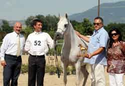 Chiude al terzo posto, dopo uno spareggio con la papresented by Roberto Zaniboni and owned by the  In