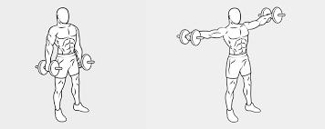 Sesto esercizio (Spalle): alzate laterali 8/12 ripetizioni, busto dritto, addome fissato, spalle basse, braccia distese, movimento fluido e continuo.